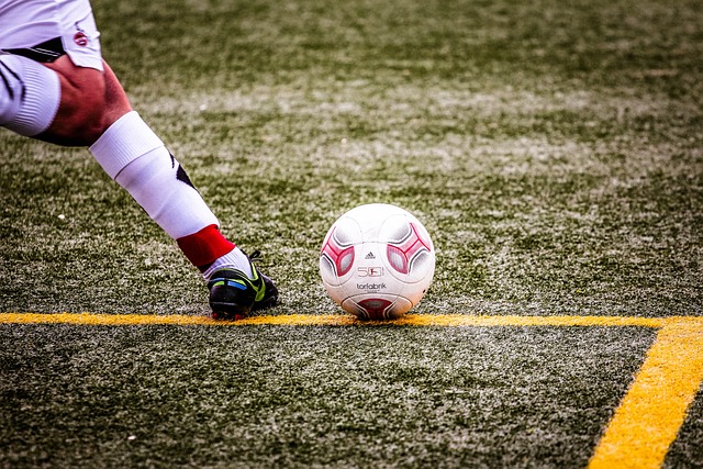 除了毅力的 除了毅力的