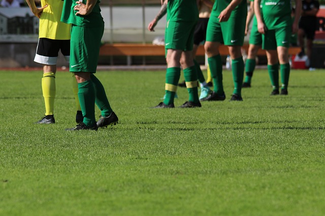 物也有望入 物也有望入