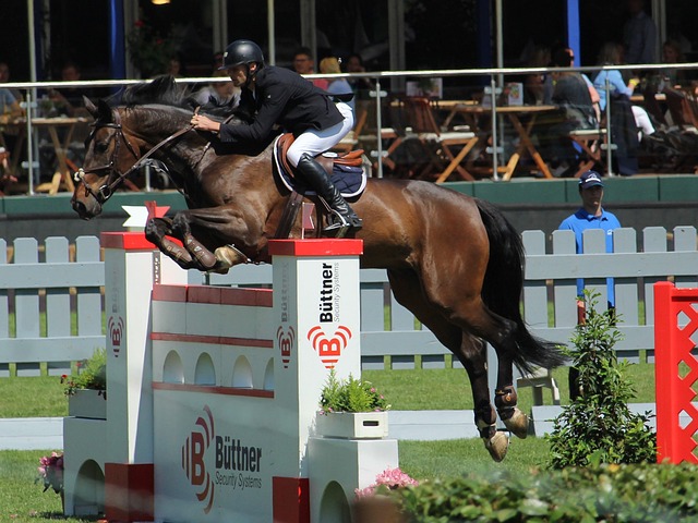 在渝北举行 在渝北举行