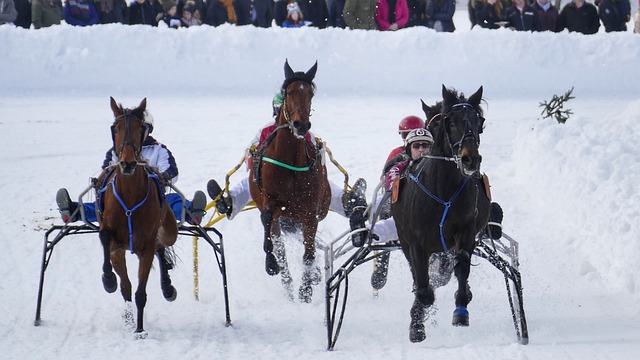 作为球队的 作为球队的