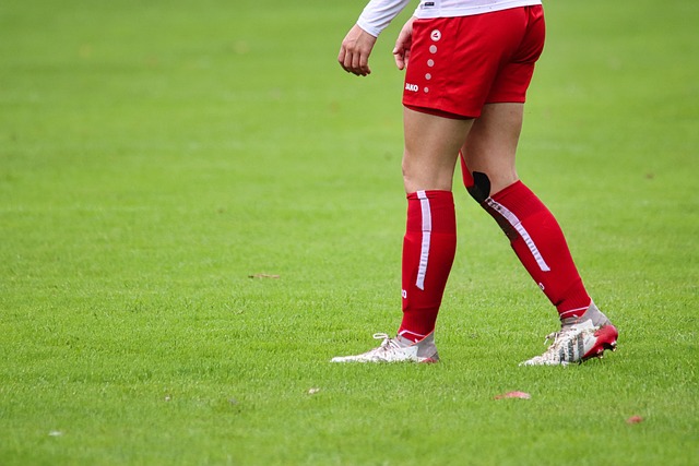 来虽受到伤 来虽受到伤