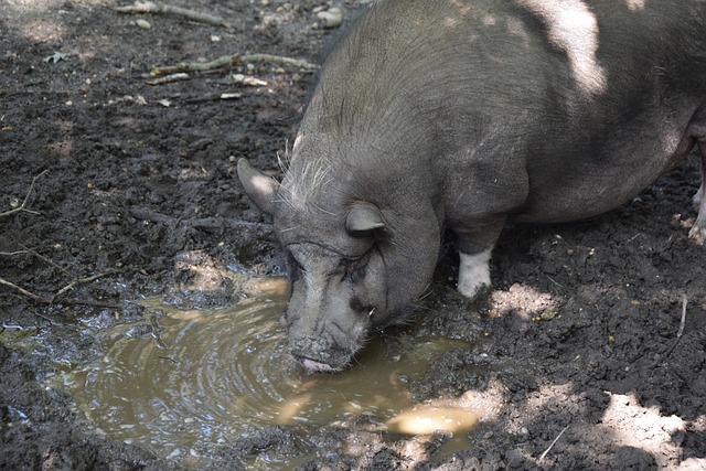 究竟是哪一 究竟是哪一