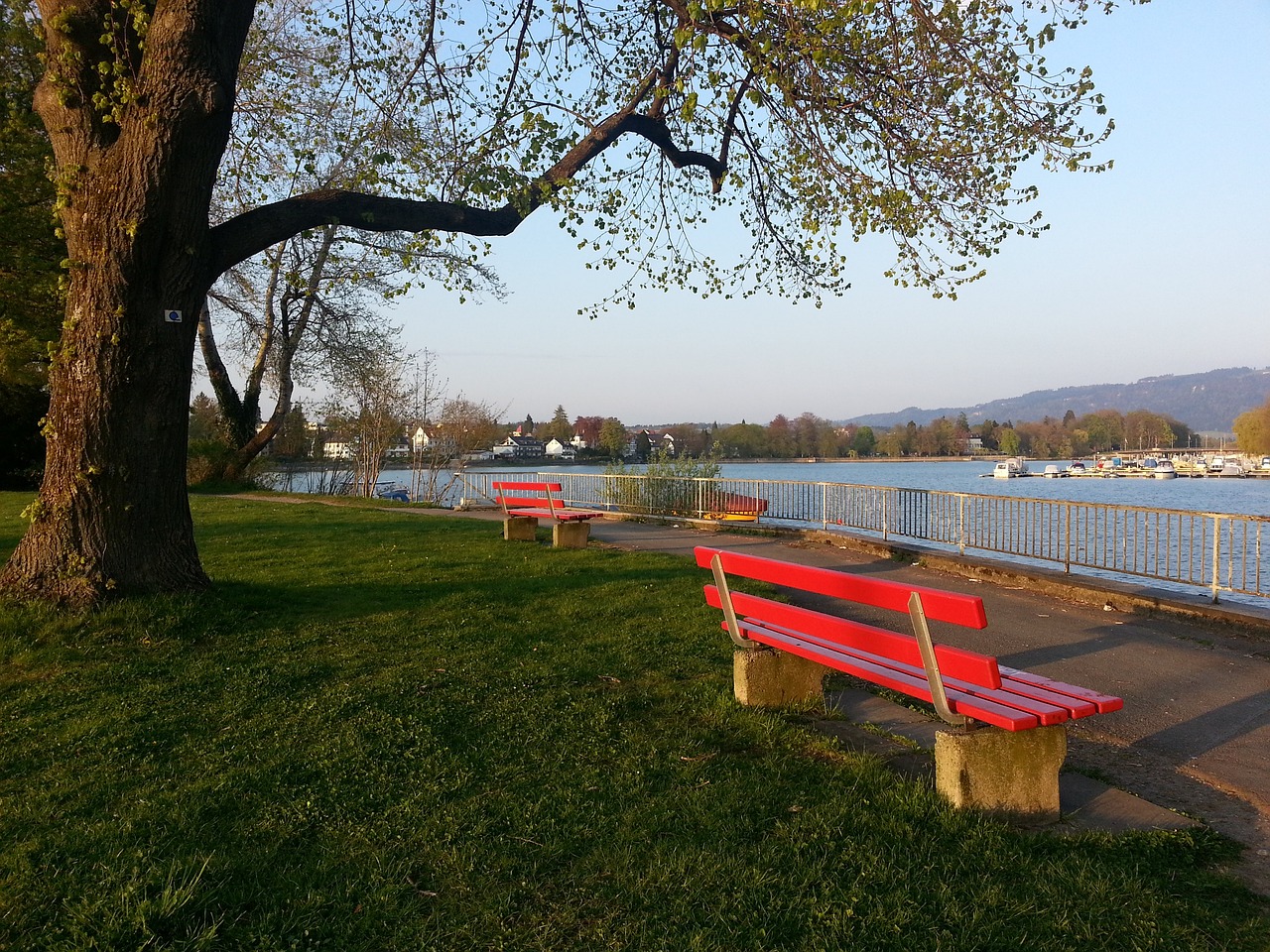 造更多辉煌 造更多辉煌