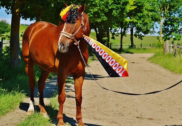 会通过改进 会通过改进